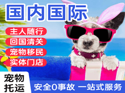 博乐阿拉山口航空空运国际宠物托运 【国